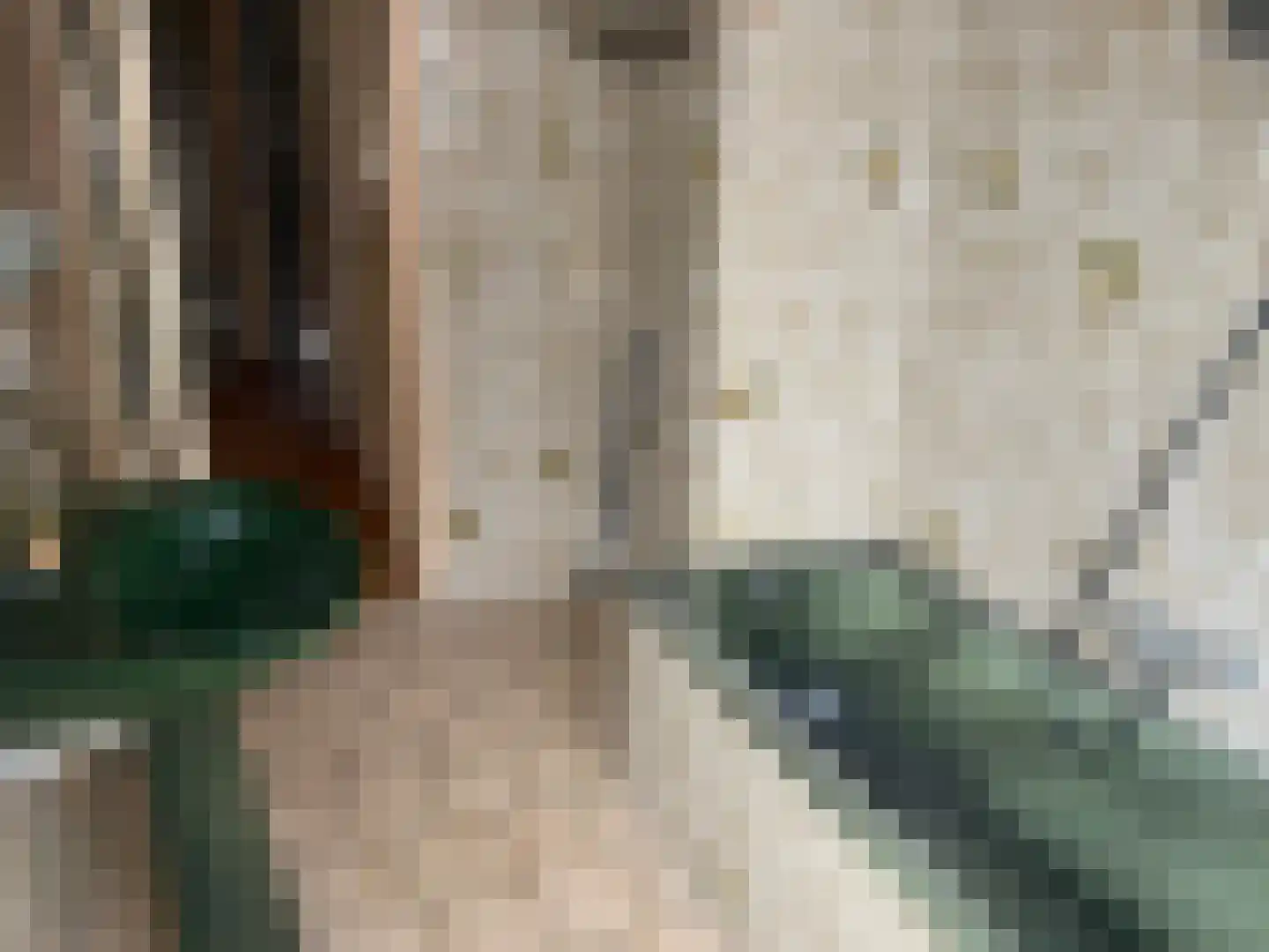 Bussumsestraat 22 Den Haag thumbnail 13