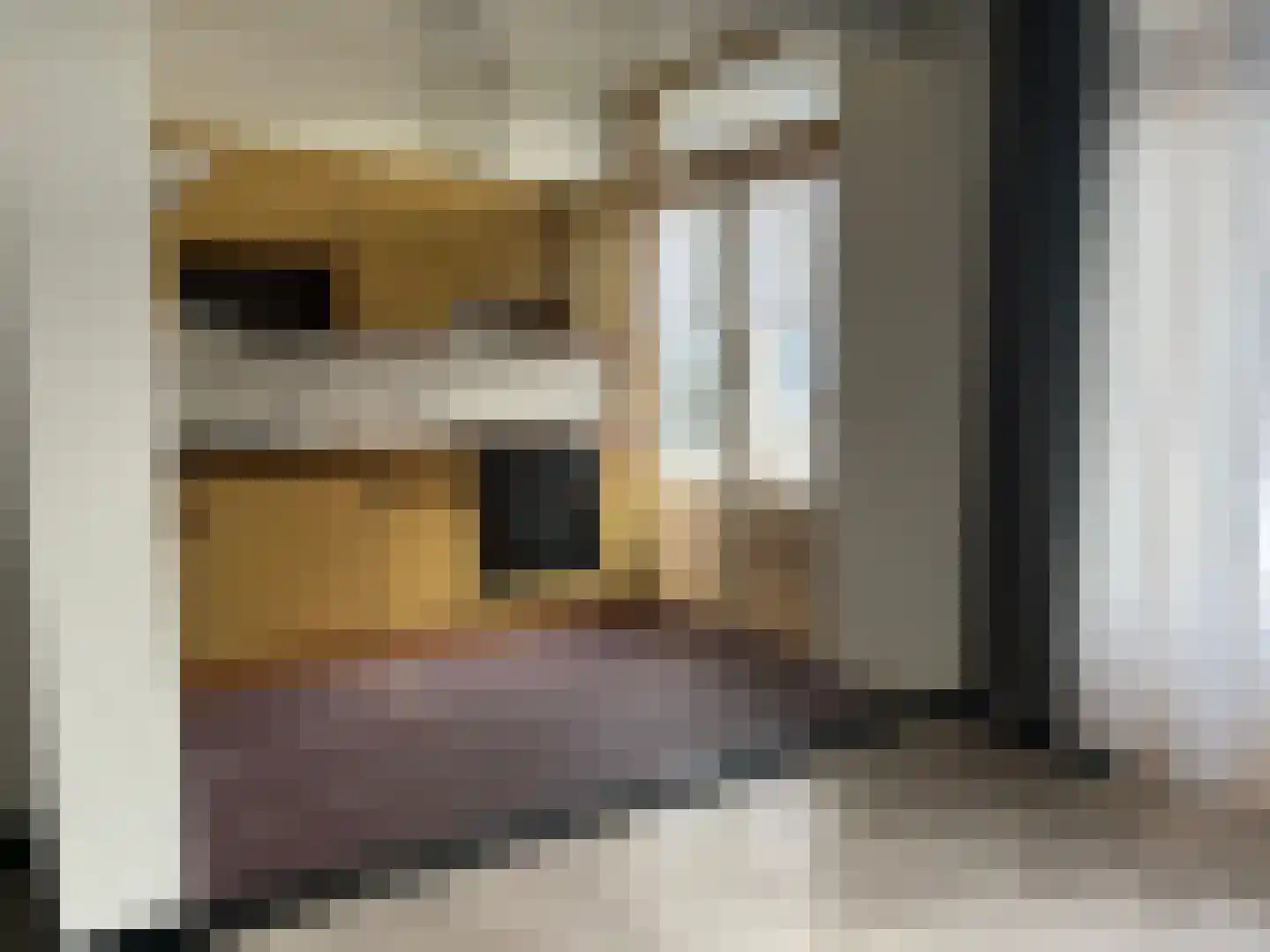Bussumsestraat 22 Den Haag thumbnail 6