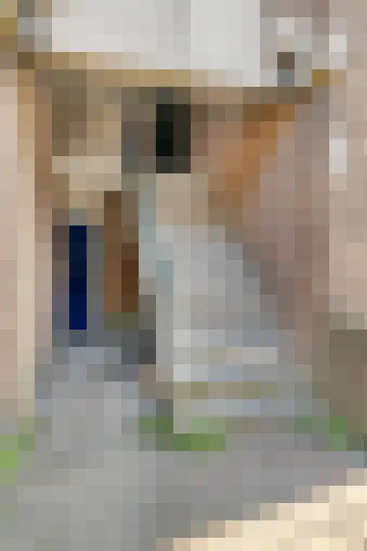 Bussumsestraat 34 Den Haag thumbnail 6
