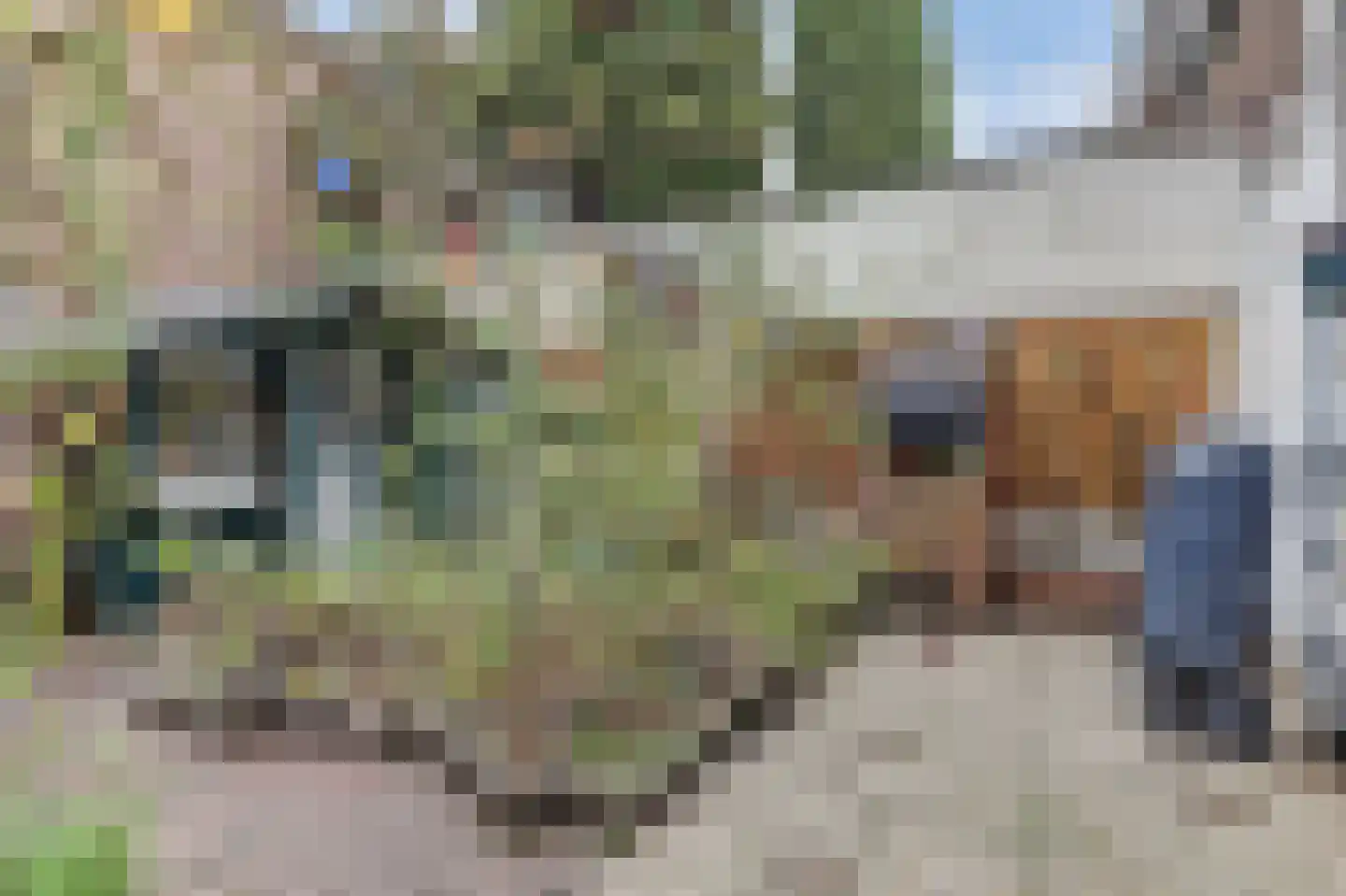 Bussumsestraat 40 Den Haag thumbnail 25