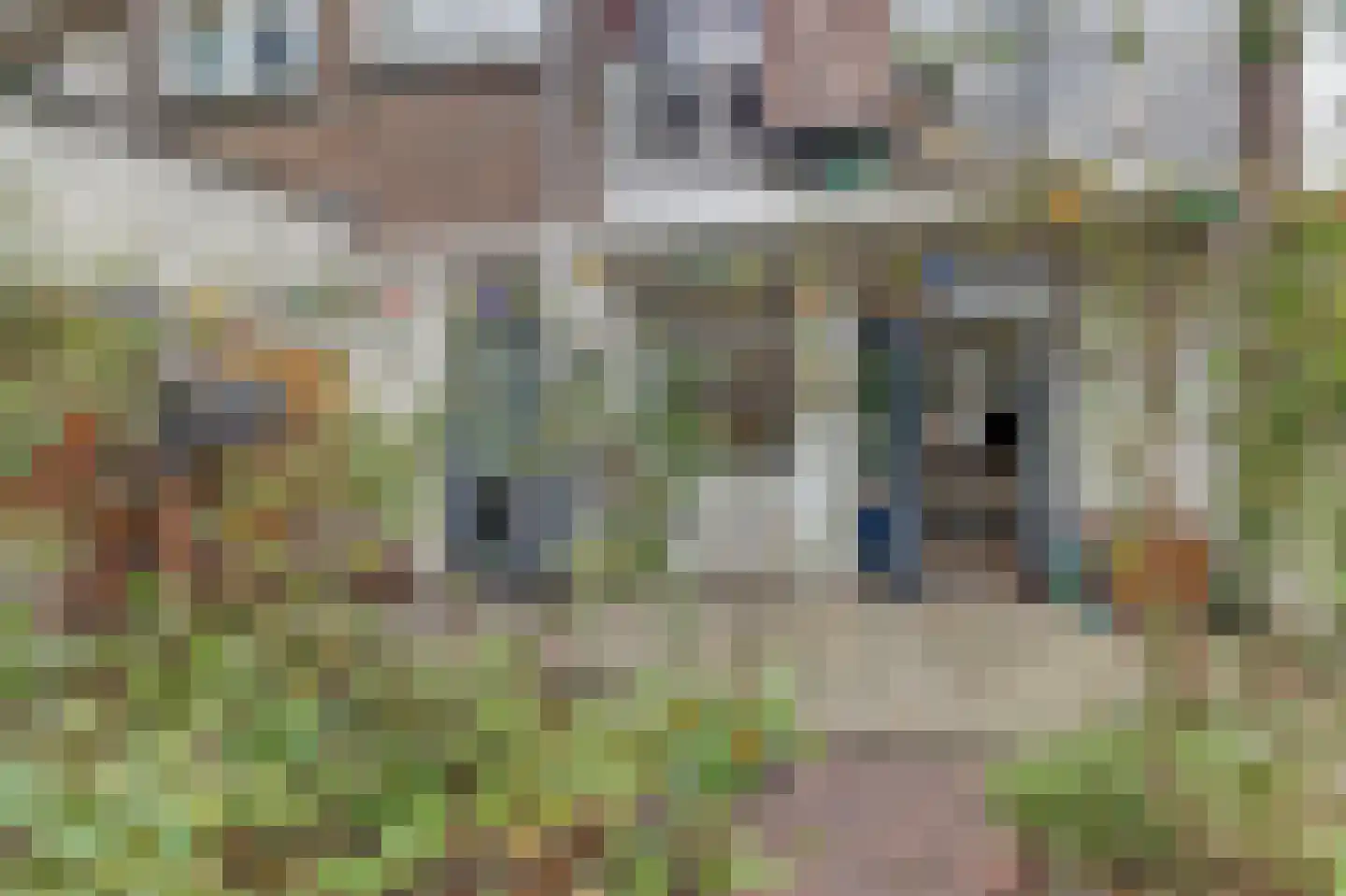 Bussumsestraat 40 Den Haag thumbnail 4