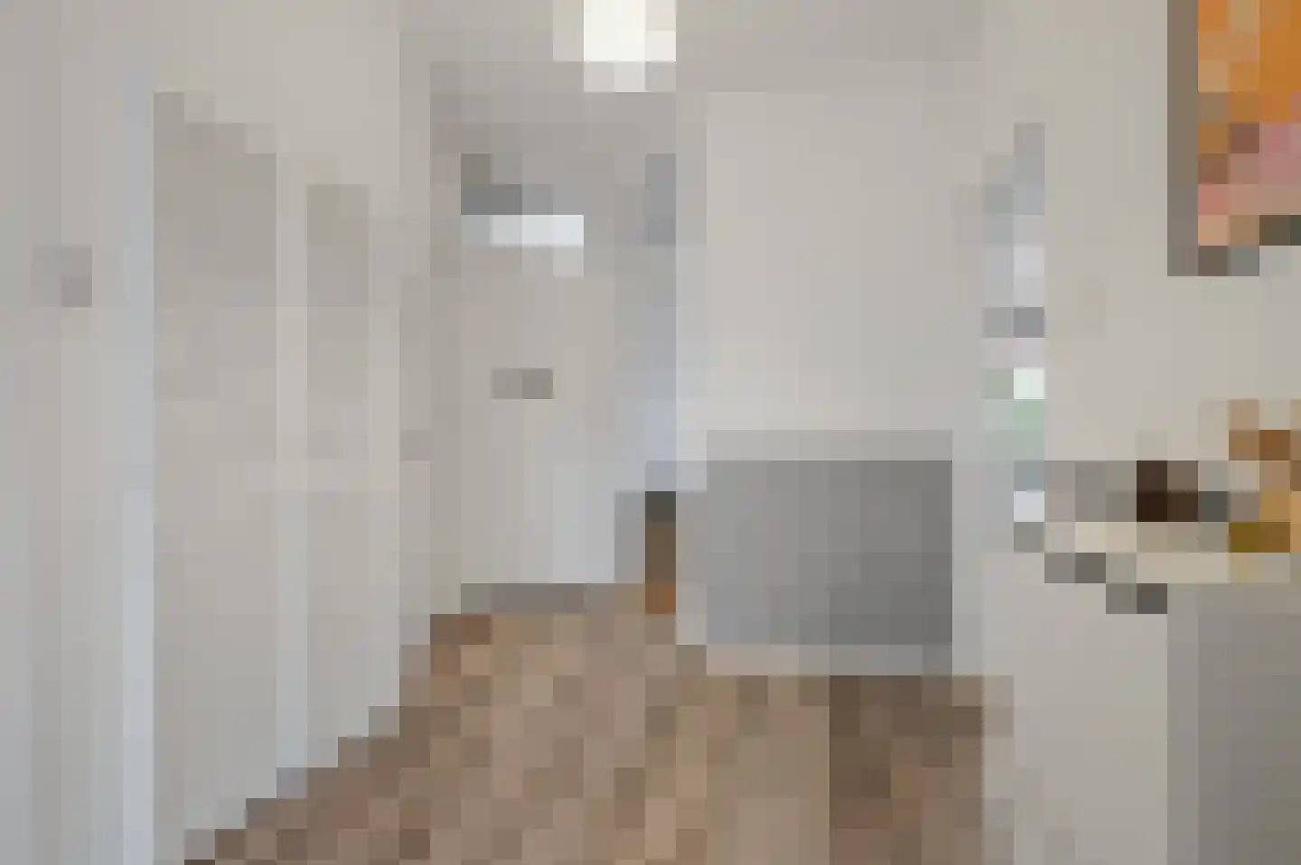 Bussumsestraat 51 Den Haag thumbnail 6