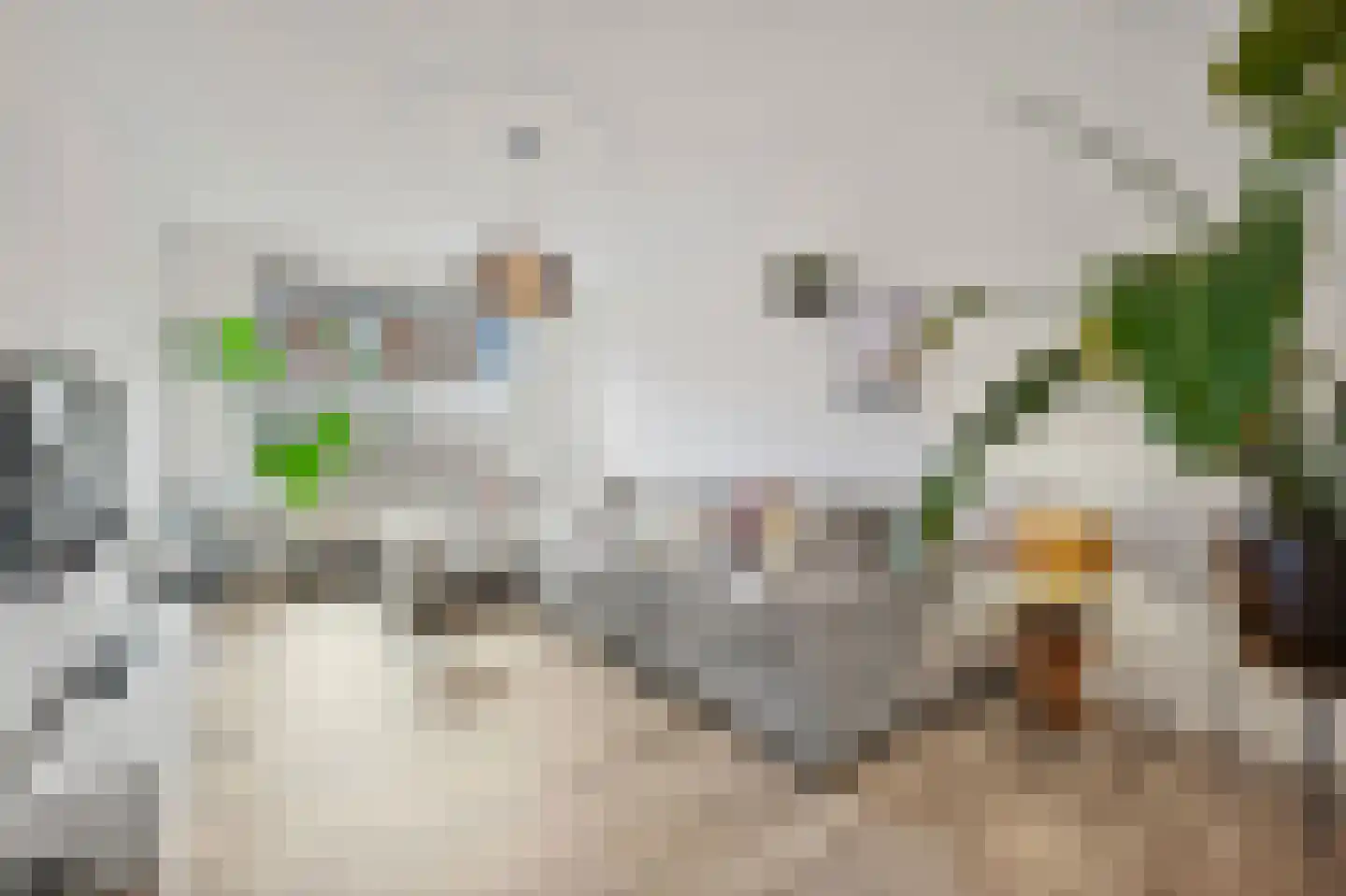 Bussumsestraat 51 Den Haag thumbnail 7