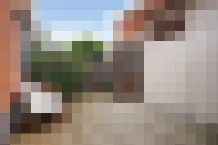 Bussumsestraat 96 Den Haag thumbnail 18