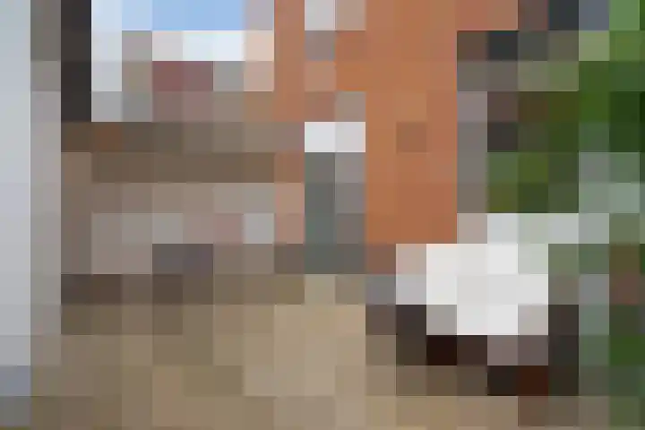 Bussumsestraat 96 Den Haag thumbnail 19