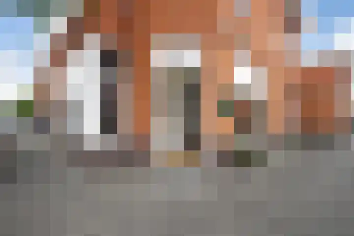 Bussumsestraat 96 Den Haag thumbnail 6