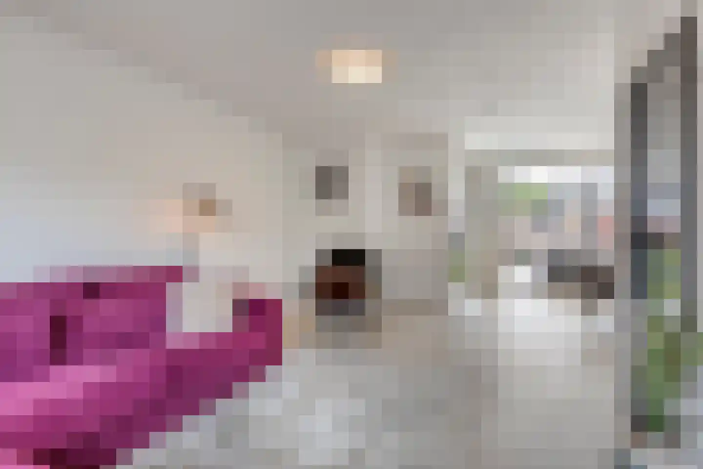 Busweg 19 Eindhoven thumbnail 8