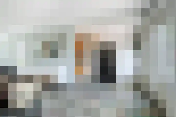 Busweg 33 Eindhoven thumbnail 13