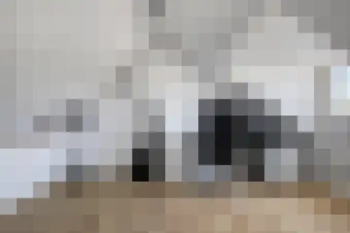 Busweg 33 Eindhoven thumbnail 24