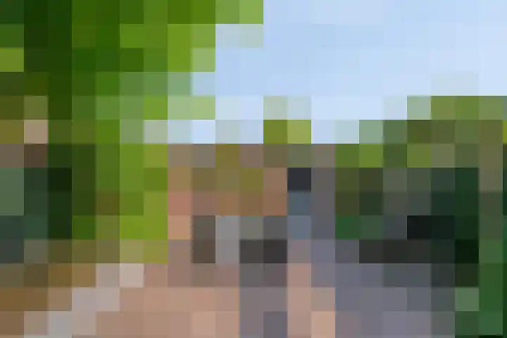 Busweg 33 Eindhoven thumbnail 26