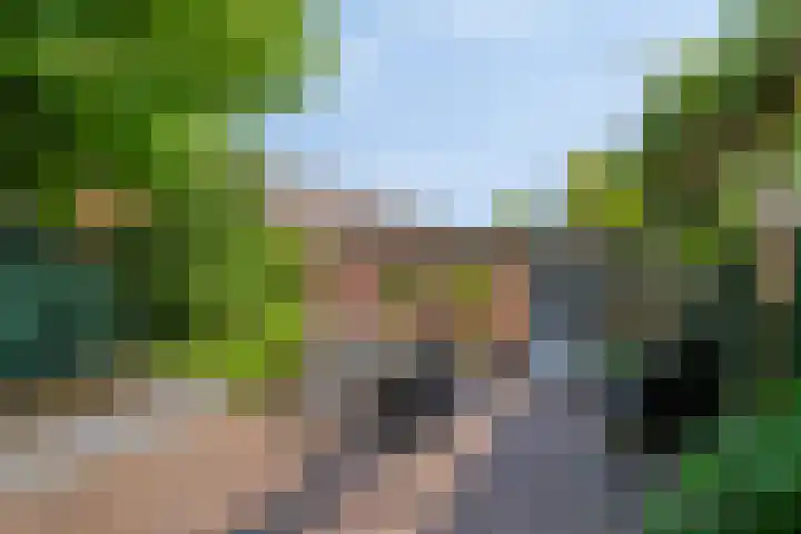 Busweg 33 Eindhoven thumbnail 27