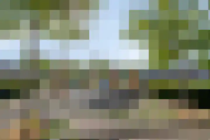 Busweg 33 Eindhoven thumbnail 33