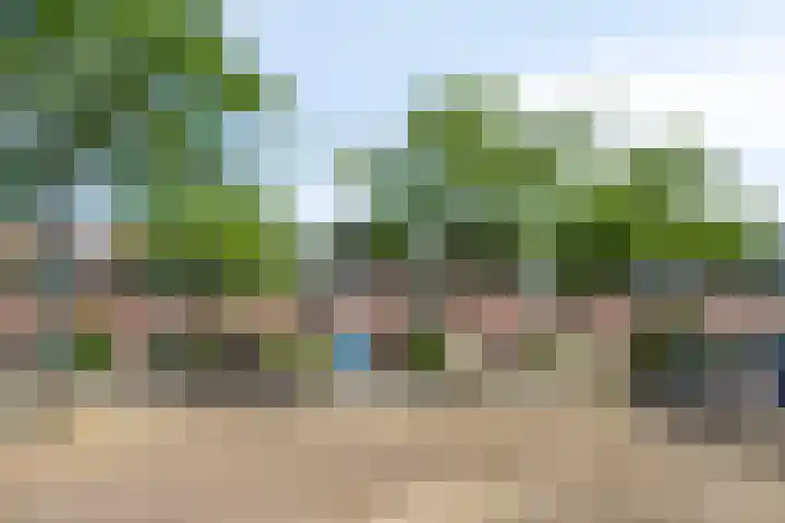 Busweg 33 Eindhoven thumbnail 7