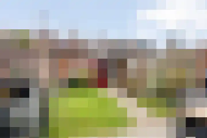 Busweg 55 Eindhoven thumbnail 4
