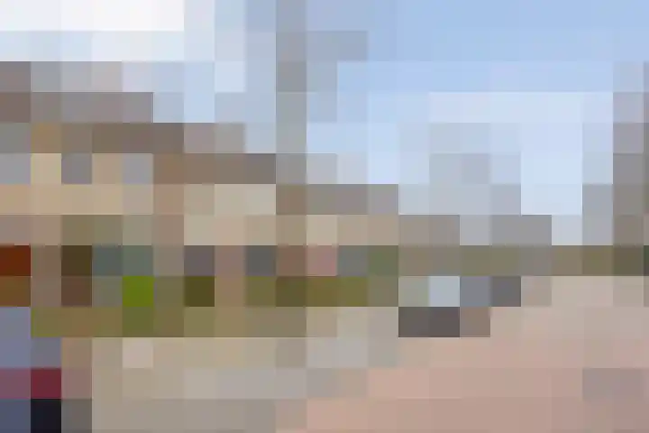 Busweg 55 Eindhoven thumbnail 51