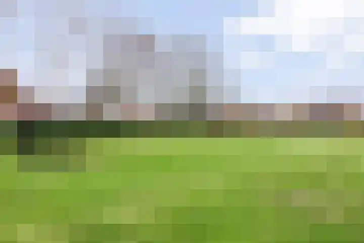 Busweg 55 Eindhoven thumbnail 52