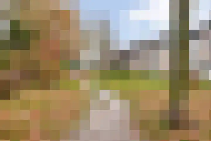 Busweg 55 Eindhoven thumbnail 55