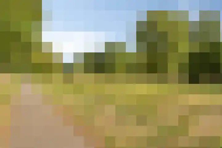 Busweg 57 Eindhoven thumbnail 37