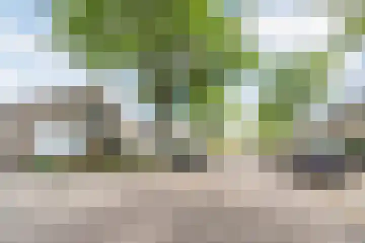 Busweg 84 Eindhoven thumbnail 4