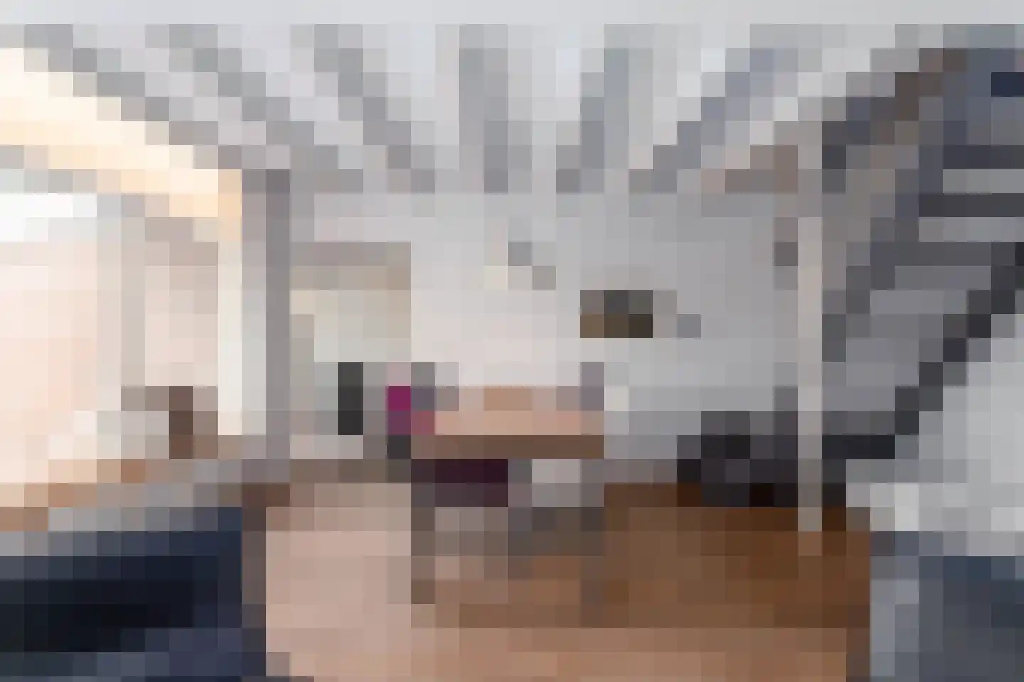Bûtebaen 17 Uitwellingerga thumbnail 13