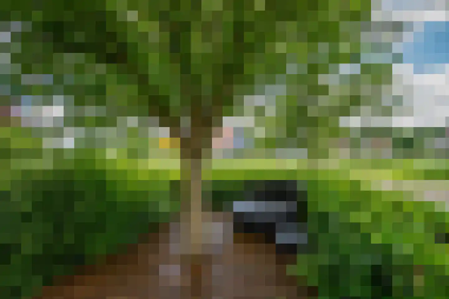 Bûtebaen 17 Uitwellingerga thumbnail 32