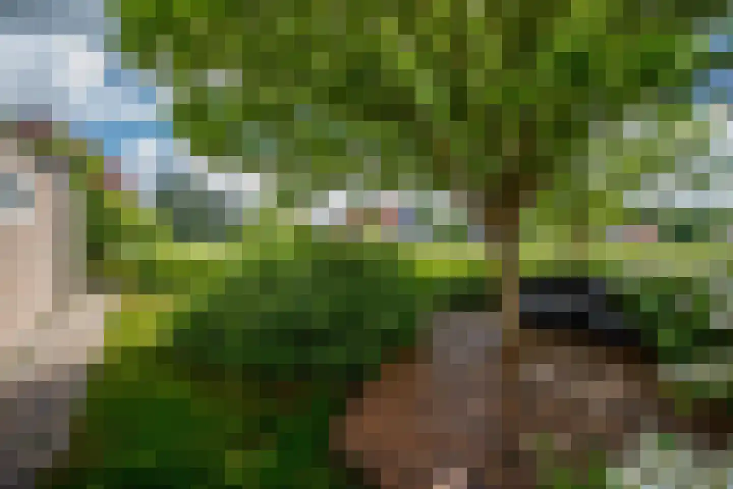 Bûtebaen 17 Uitwellingerga thumbnail 33