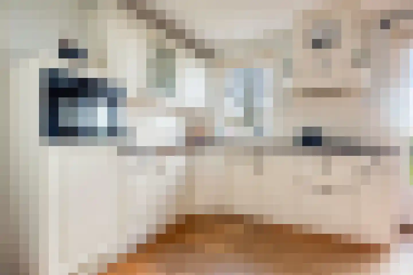 Bûtefjild 11 Feanwâlden thumbnail 13