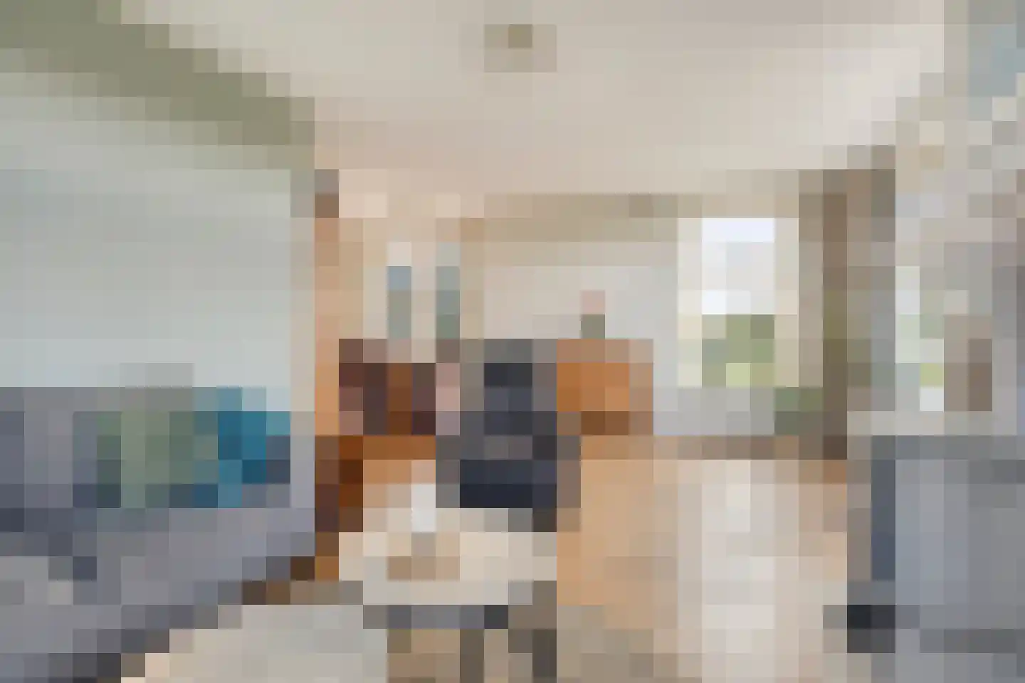 Bûtefjild 11 Feanwâlden thumbnail 9