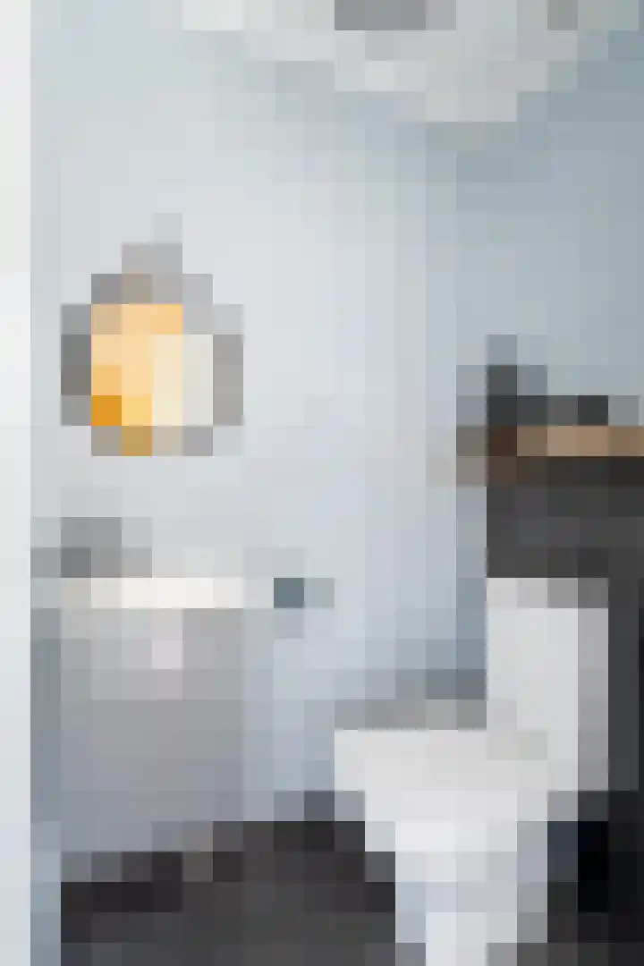 Bûtendykswei 48 Ingwierrum thumbnail 12