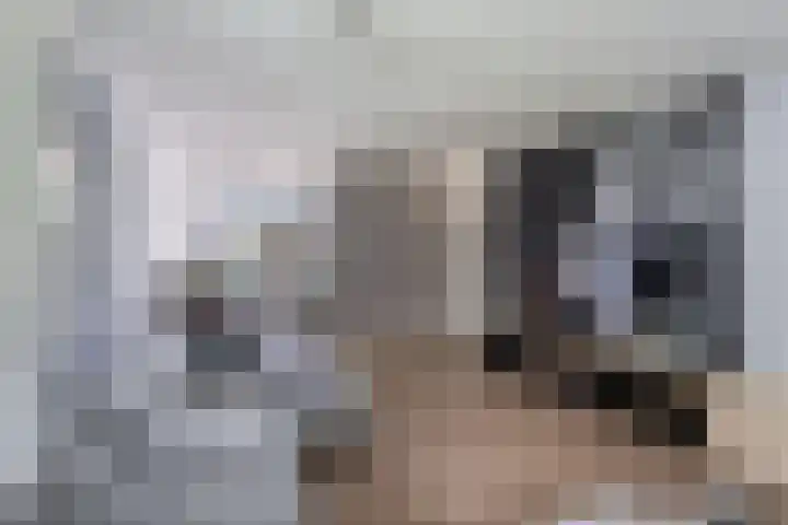 Bûtendykswei 48 Ingwierrum thumbnail 15