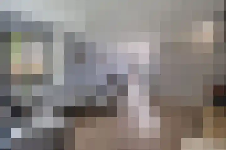 Bûtendykswei 48 Ingwierrum thumbnail 16