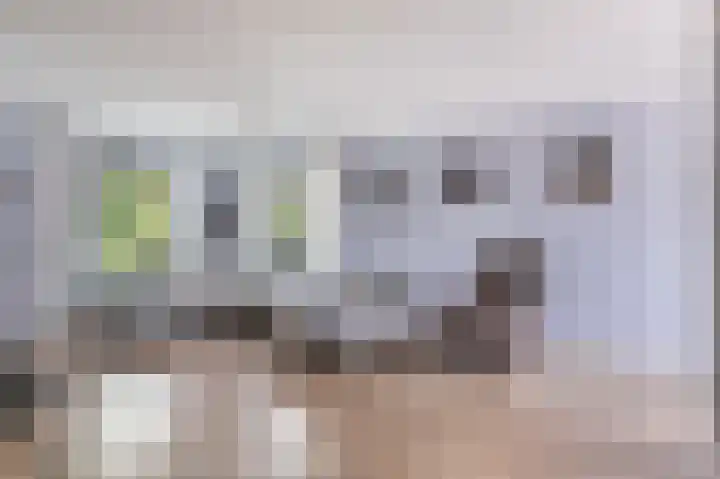 Bûtendykswei 48 Ingwierrum thumbnail 19