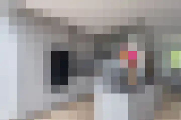 Bûtendykswei 48 Ingwierrum thumbnail 24