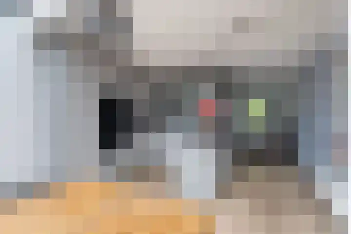 Bûtendykswei 48 Ingwierrum thumbnail 26