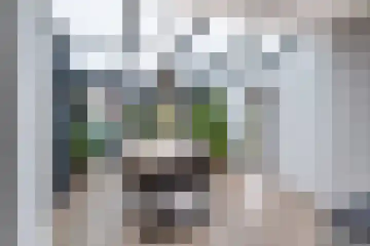 Bûtendykswei 48 Ingwierrum thumbnail 27