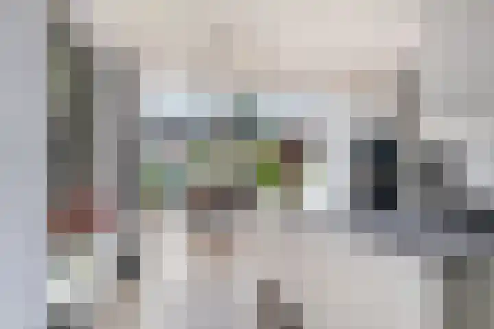 Bûtendykswei 48 Ingwierrum thumbnail 28