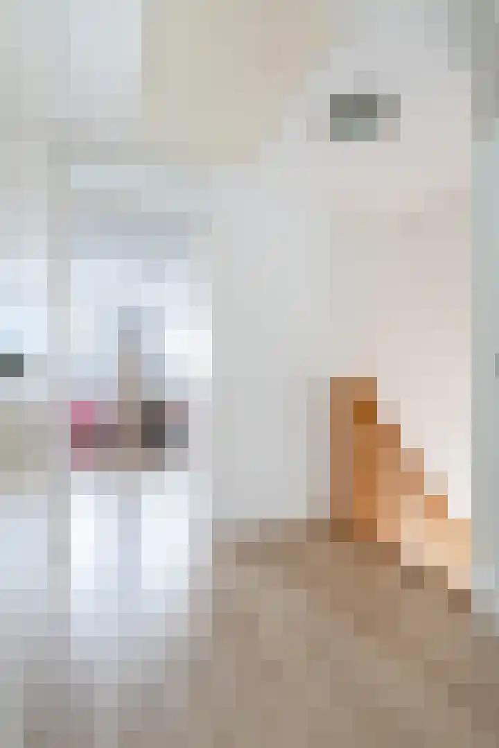 Bûtendykswei 48 Ingwierrum thumbnail 34