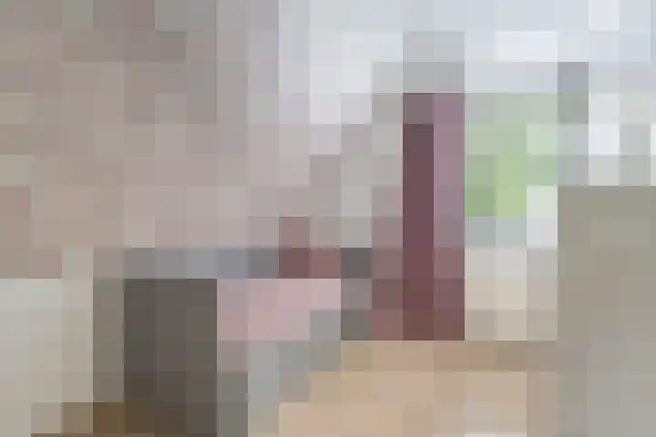 Bûtendykswei 48 Ingwierrum thumbnail 42