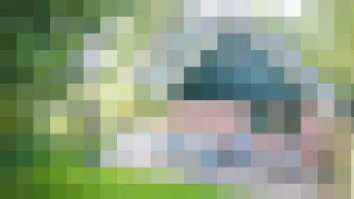 Bûtendykswei 52 Ingwierrum thumbnail 19