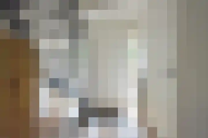 Bûtendykswei 52 Ingwierrum thumbnail 25
