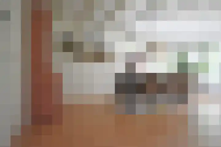 Bûtendykswei 52 Ingwierrum thumbnail 26