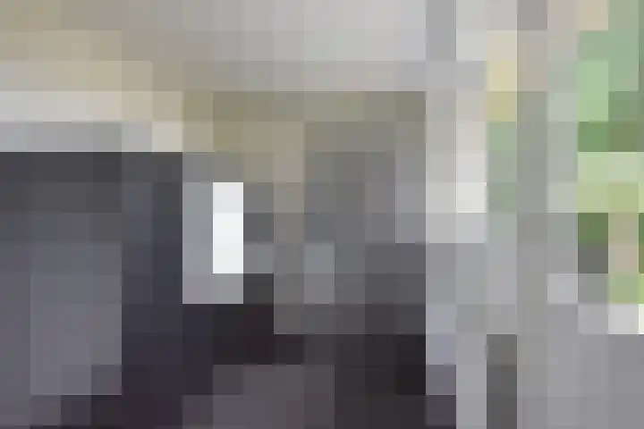 Bûtendykswei 52 Ingwierrum thumbnail 40
