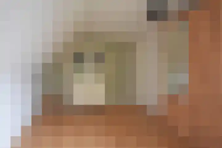 Bûtendykswei 52 Ingwierrum thumbnail 52