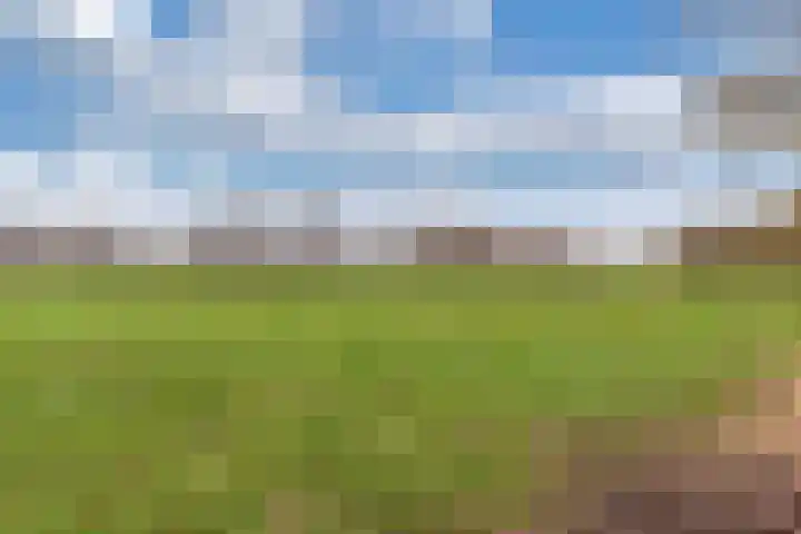 Bûtenom 10 Boornbergum thumbnail 10
