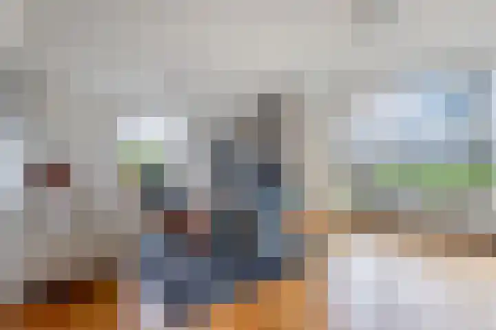 Bûtenom 10 Boornbergum thumbnail 11