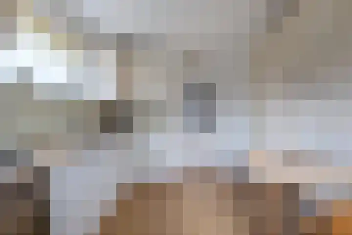 Bûtenom 10 Boornbergum thumbnail 18