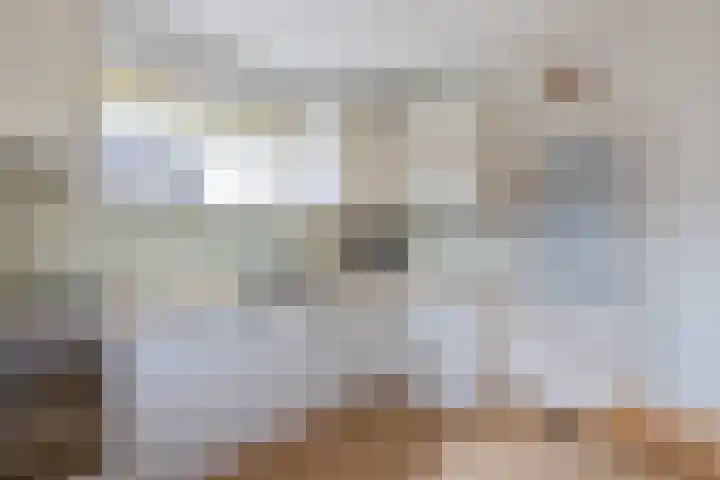 Bûtenom 10 Boornbergum thumbnail 19