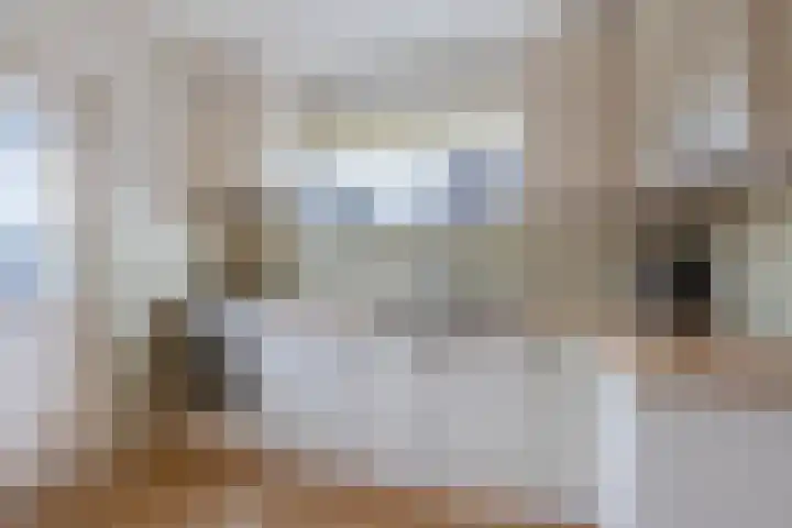 Bûtenom 10 Boornbergum thumbnail 20