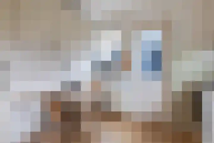 Bûtenom 10 Boornbergum thumbnail 21