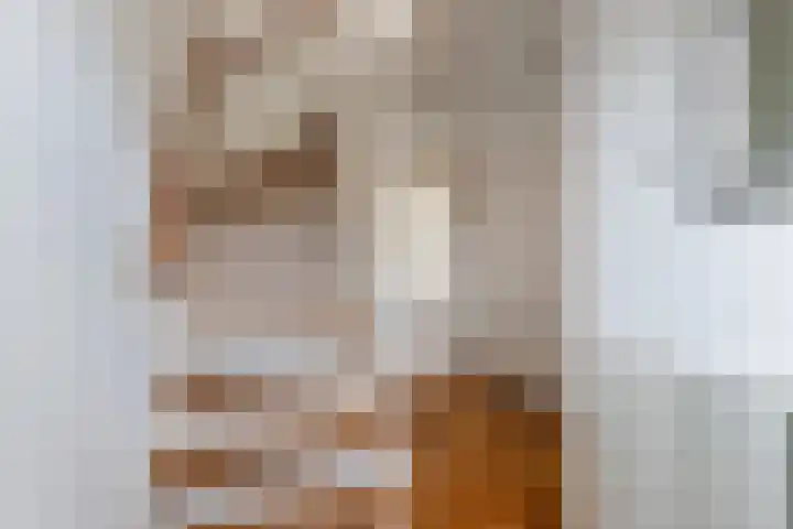 Bûtenom 10 Boornbergum thumbnail 23
